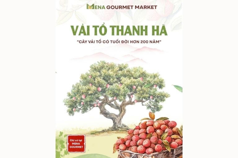 Discover the Taste of Vietnamese Heritage: The Story of the Oldest Lychee Ancestor Tree at Furama Villas Danang