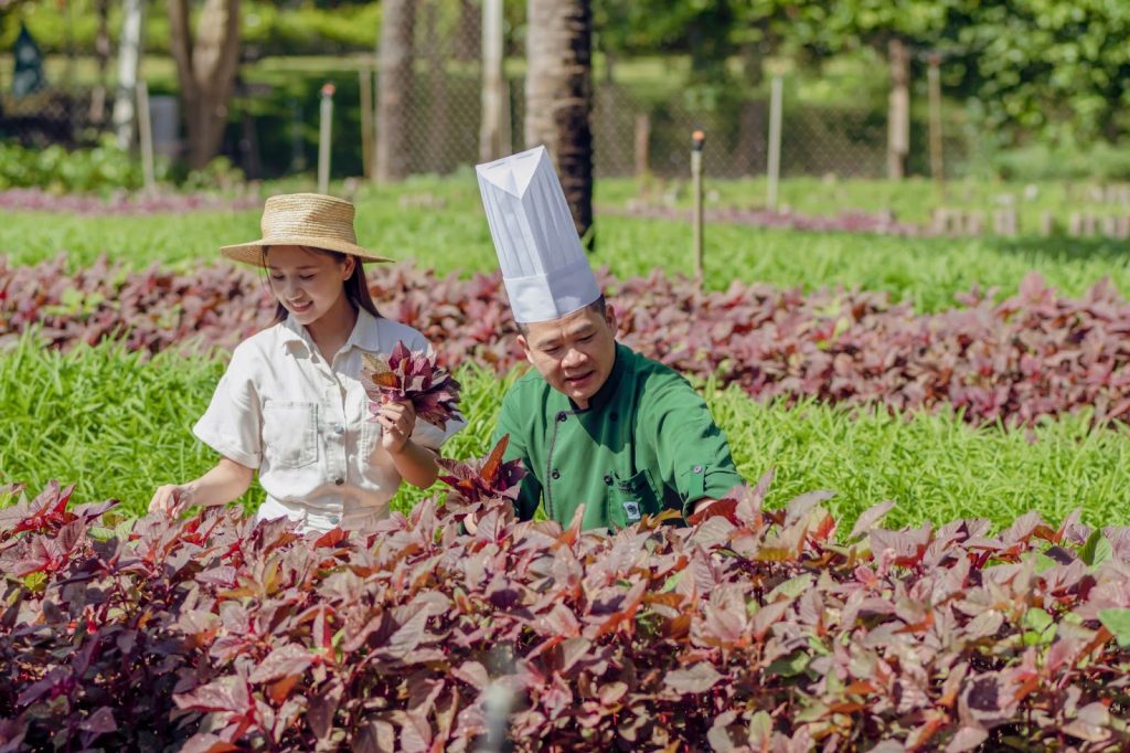 A NEW DA NANG WITH A VISION TO PROMOTE THE GREEN TOURISM MODEL