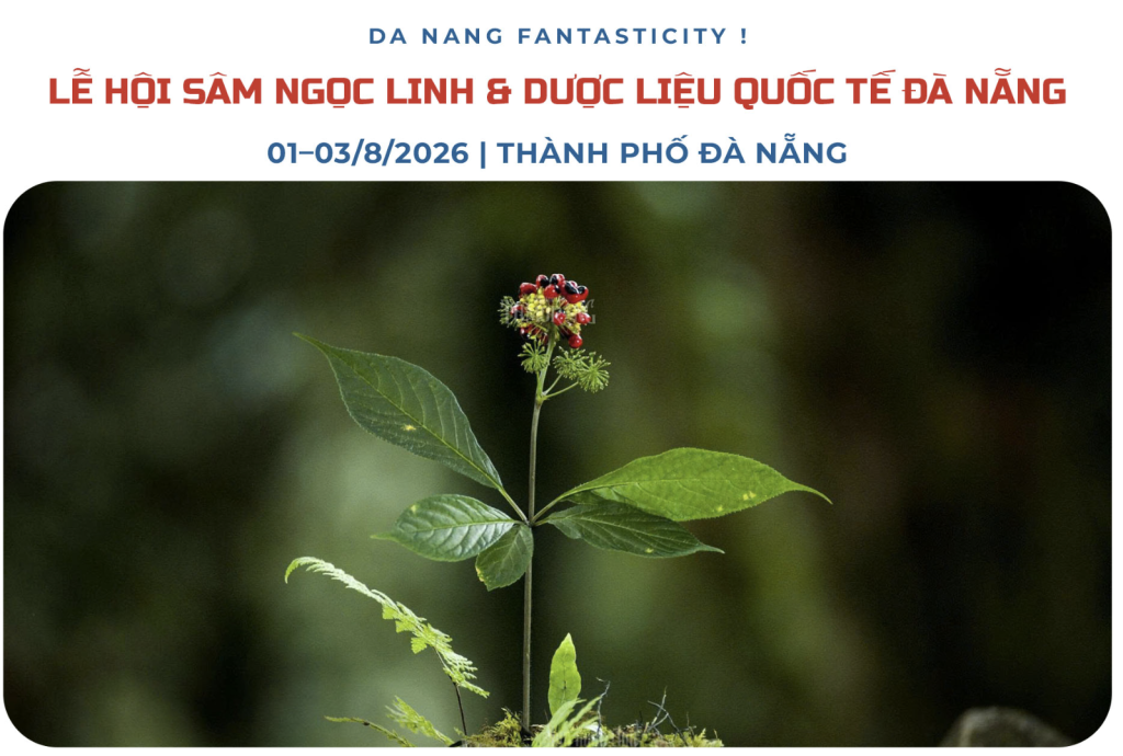 Experience Wellness At The International Ngoc Linh Ginseng & Medicinal Materials Festival In Da Nang