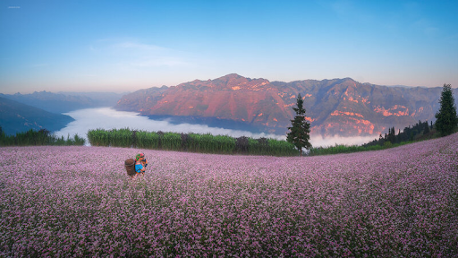 When is the Best Time to Visit Vietnam? A Seasonal Guide to Exploring Destinations Throughout the Year