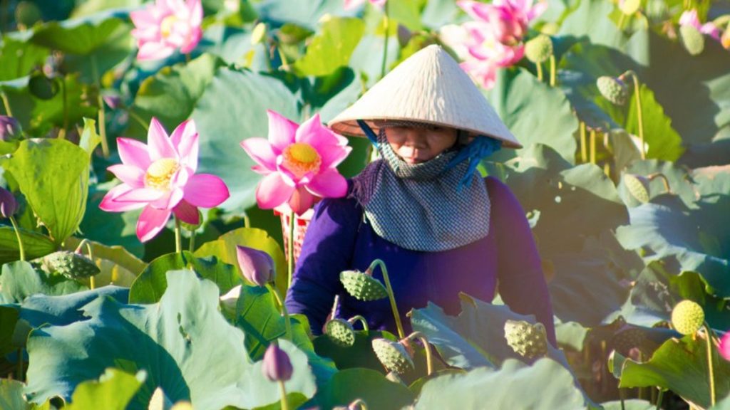 What Makes Da Nang’s Culture Special? Discovering The Identity Of Central Vietnam