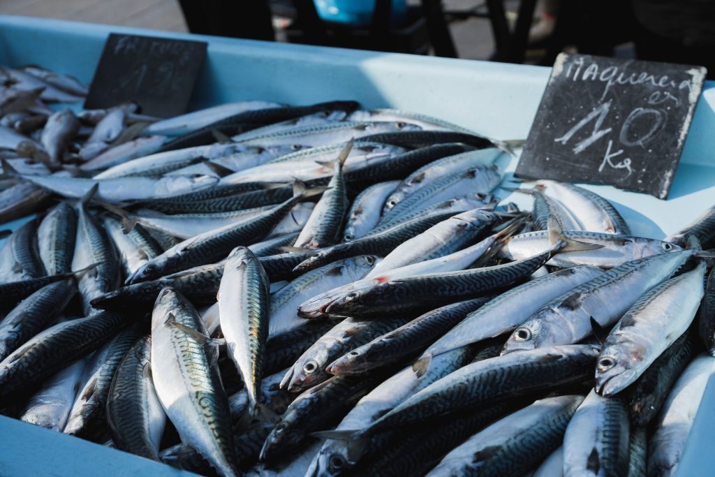 Discover Da Nang’s Seafood Markets: Fresh Catch At Great Prices