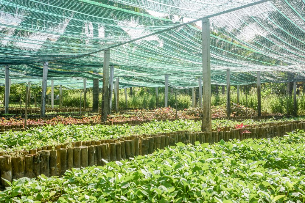 ĐÀ NẴNG SAU SÁP NHẬP: CƠ HỘI NÂNG TẦM TRẢI NGHIỆM DU LỊCH QUA ẨM THỰC ĐỊA PHƯƠNG